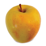 820b20_2c1f1b66cf5944ac95f9eb51b84d0ae9.png_srz_p_153_152_75_22_0.50_1.20_0.00_png_srz