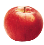 820b20_7df95b69e5dc41f8994bb771c54b2cad.png_srz_p_142_145_75_22_0.50_1.20_0.00_png_srz