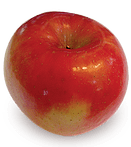 820b20_89e39a7673df4403af6ec3f73f6aa0b8.png_srz_p_131_147_75_22_0.50_1.20_0.00_png_srz